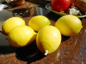 Meyer lemons 006
